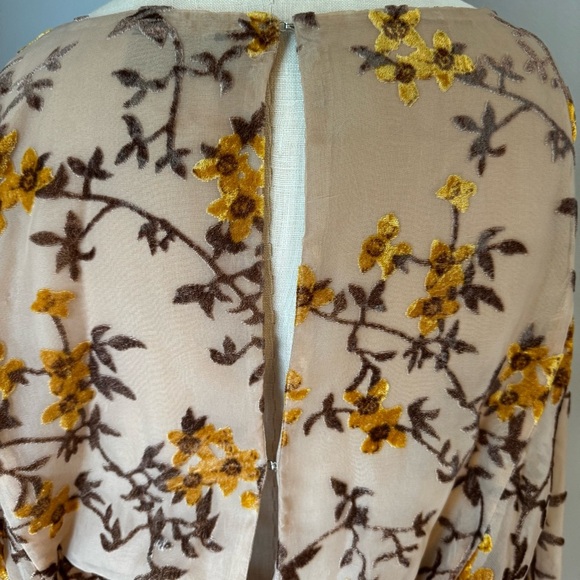 Storia Women’s Lined Tan Velvet Burnout Floral Cinched Waist Peasant Blouse Sz S - Picture 6 of 10